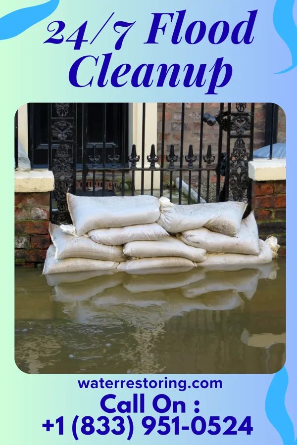 24/7 Flood Cleanup in Denmark, WI