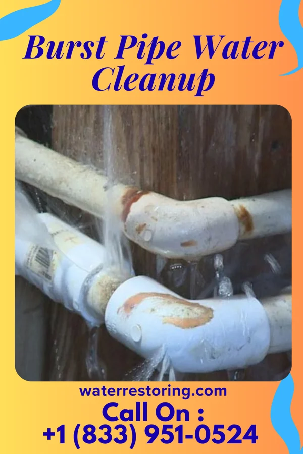 Burst Pipe Water Cleanup in Denmark, WI