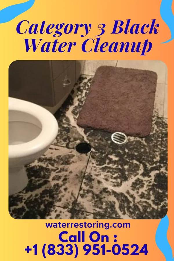 Category 3 Black Water Cleanup in Denmark, WI