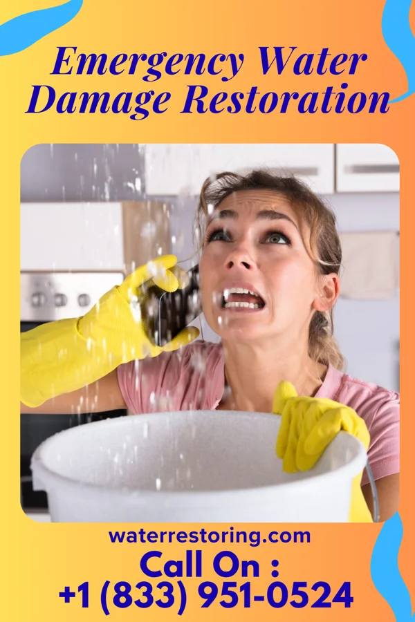 Emergency Water Damage Restoration in Denmark, WI