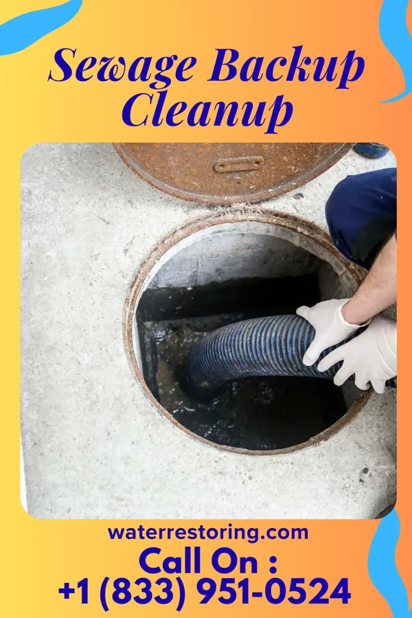 Sewage Backup Cleanup in Denmark, WI