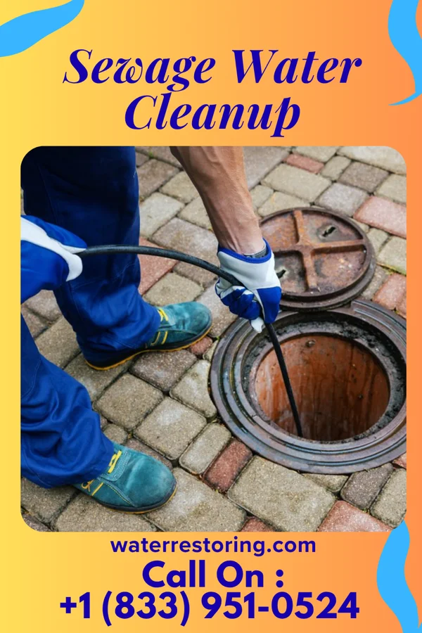 Sewage Water Cleanup in Denmark, WI