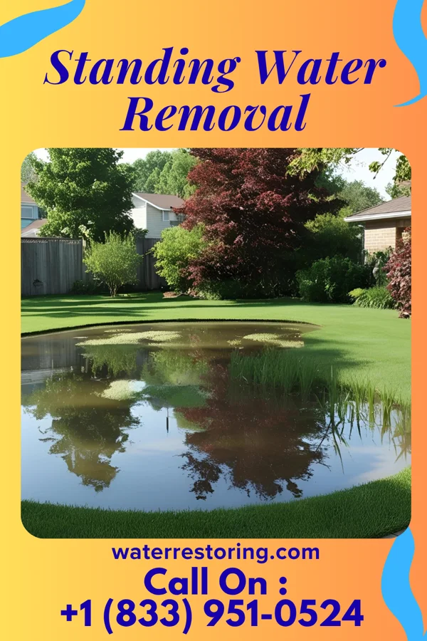 Standing Water Removal in Denmark, WI